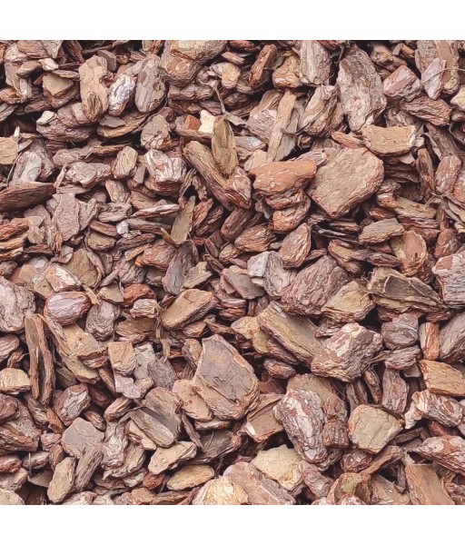 Thick premium pine bark fraction above 30mm Thick premium pine bark fraction above 30mm