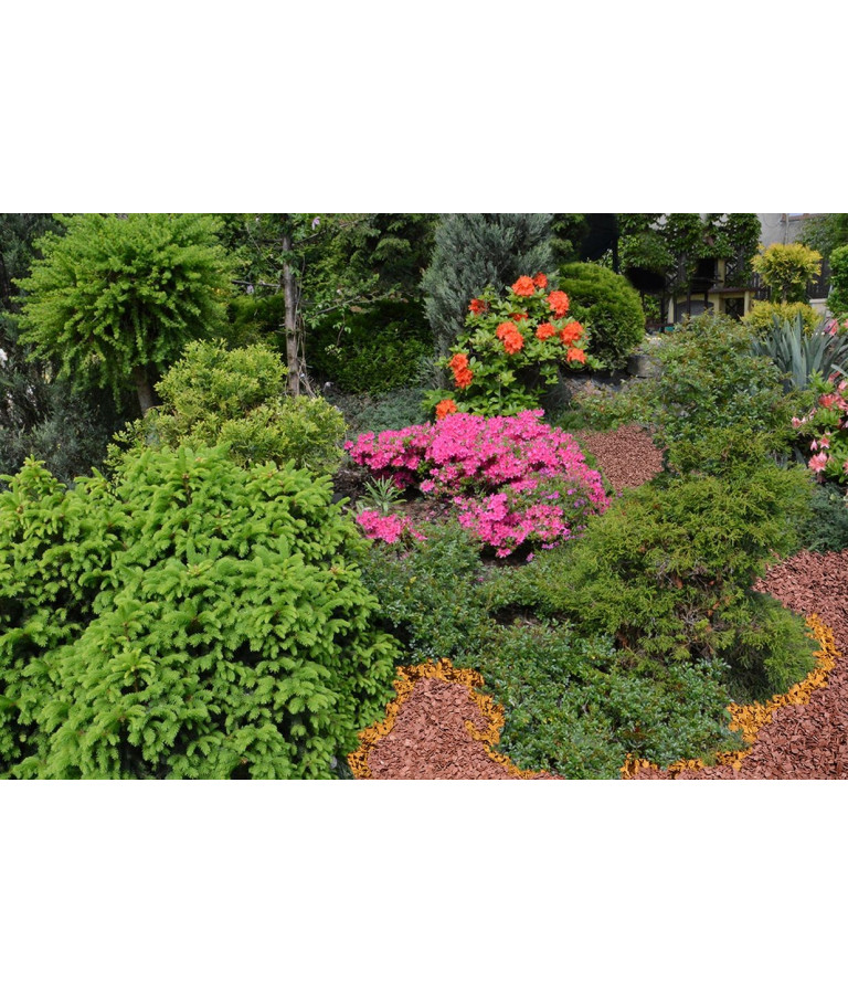 Decorative yellow WOOD CHIPS BIOVITA